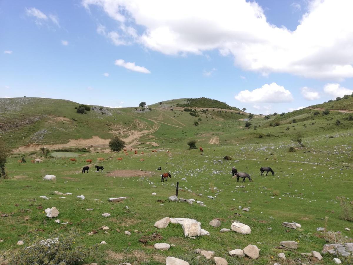 Olympus Country House Karia  Esterno foto