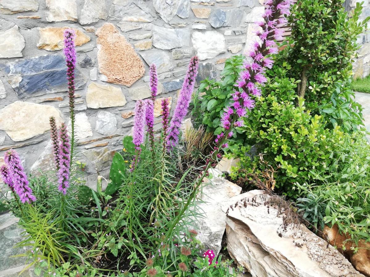 Olympus Country House Karia  Esterno foto